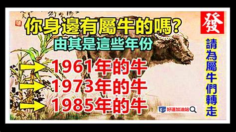 1973 屬牛|生肖牛: 性格，愛情，2024運勢，生肖2021，2009，1997